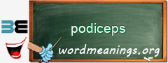 WordMeaning blackboard for podiceps